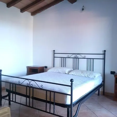 Viva *