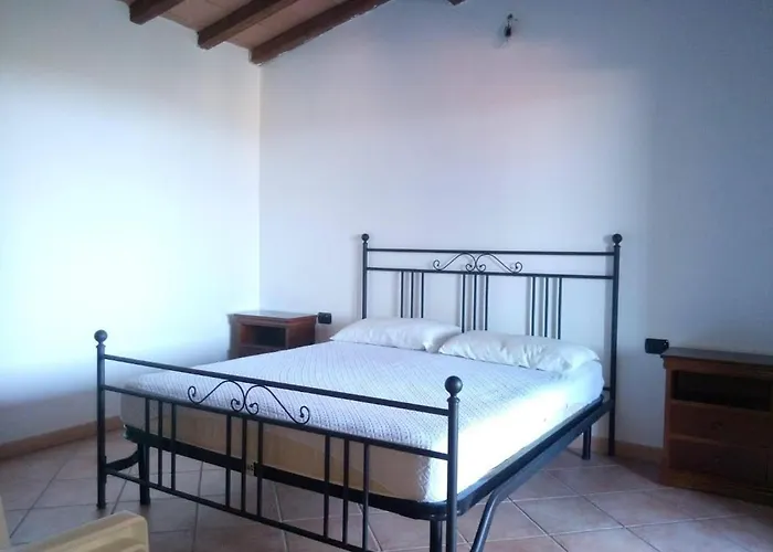 Viva *